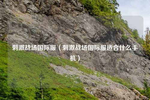 刺激战场国际服（刺激战场国际服适合什么手机）