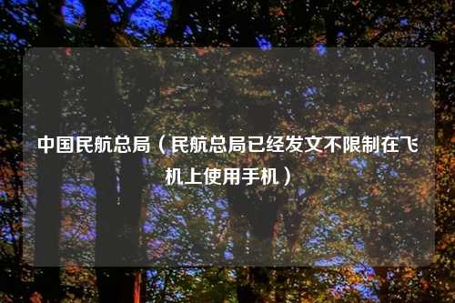 中国民航总局（民航总局已经发文不限制在飞机上使用手机）