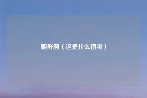 朝鲜圆（这是什么植物）
