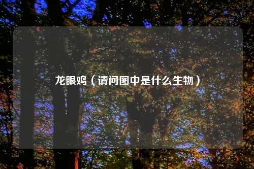 龙眼鸡（请问图中是什么生物）