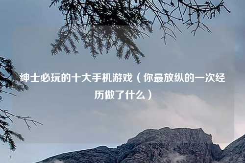 绅士必玩的十大手机游戏（你最放纵的一次经历做了什么）