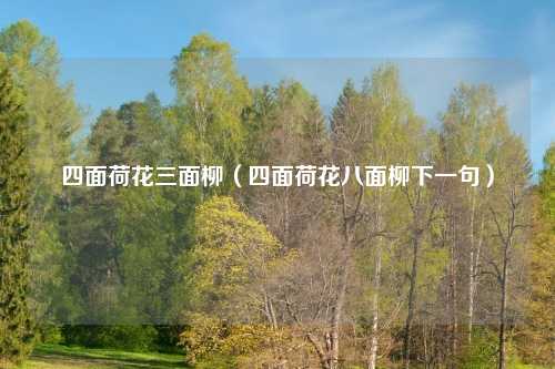 四面荷花三面柳（四面荷花八面柳下一句）
