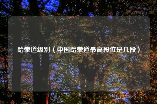 跆拳道级别（中国跆拳道最高段位是几段）
