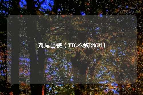 九尾出装（TTG不敌RNGM）