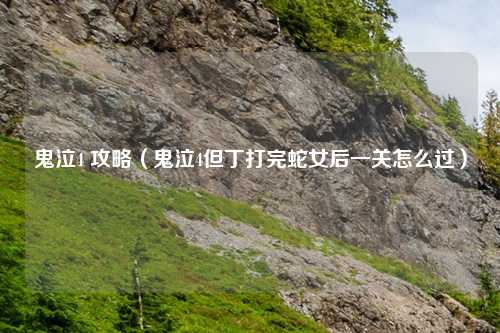鬼泣4 攻略（鬼泣4但丁打完蛇女后一关怎么过）