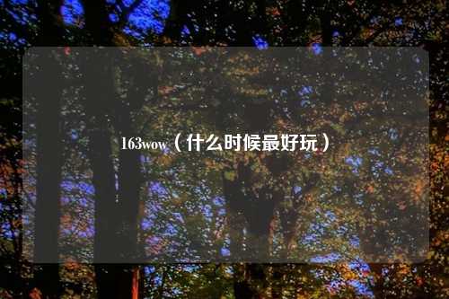 163wow（什么时候最好玩）