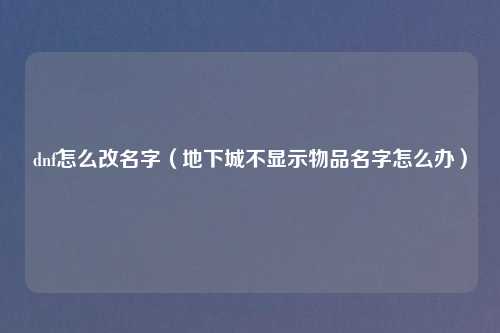 dnf怎么改名字（地下城不显示物品名字怎么办）