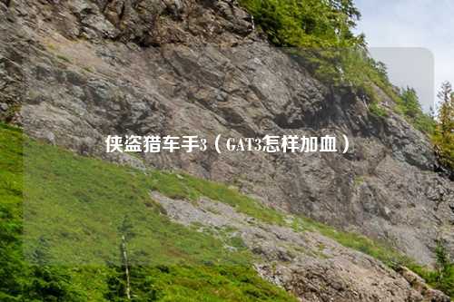 侠盗猎车手3（GAT3怎样加血）