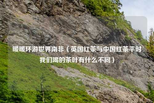 暖暖环游世界南非（英国红茶与中国红茶平时我们喝的茶叶有什么不同）