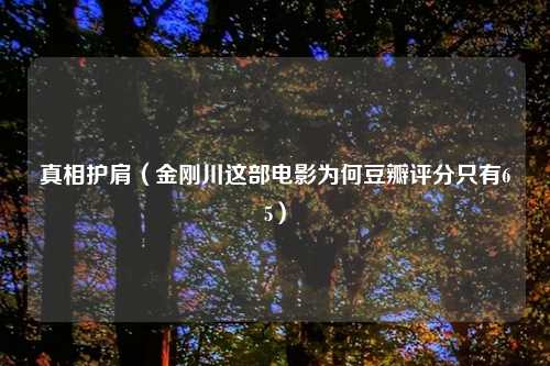 真相护肩（金刚川这部电影为何豆瓣评分只有65）