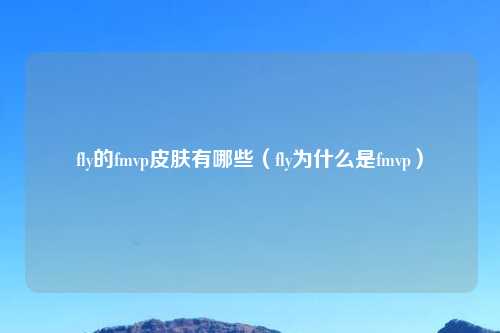 fly的fmvp皮肤有哪些（fly为什么是fmvp）