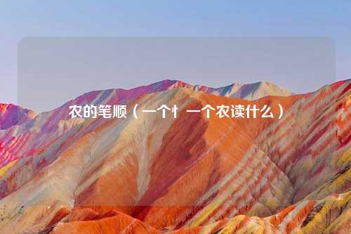 农的笔顺（一个忄一个农读什么）