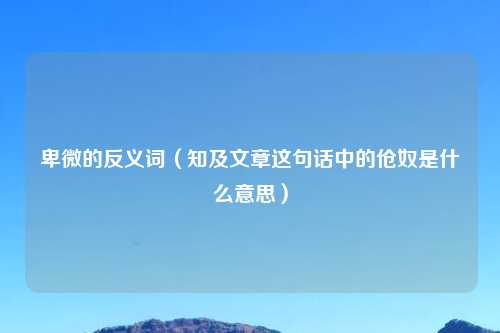 卑微的反义词（知及文章这句话中的伧奴是什么意思）