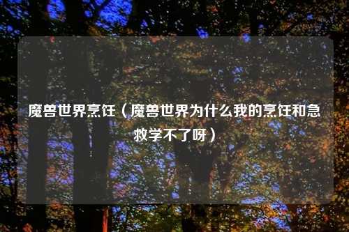 魔兽世界烹饪（魔兽世界为什么我的烹饪和急救学不了呀）