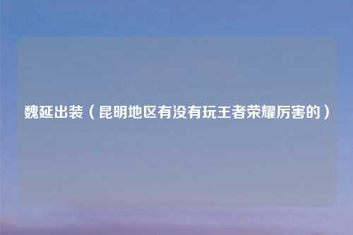 魏延出装（昆明地区有没有玩王者荣耀厉害的）