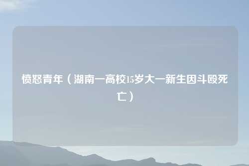 愤怒青年（湖南一高校15岁大一新生因斗殴死亡）
