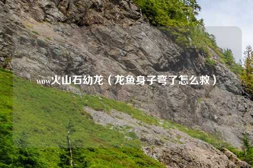 wow火山石幼龙（龙鱼身子弯了怎么救）