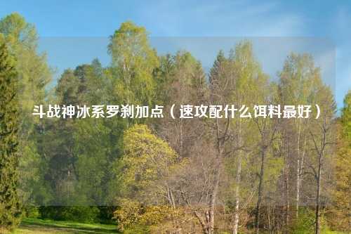 斗战神冰系罗刹加点（速攻配什么饵料最好）