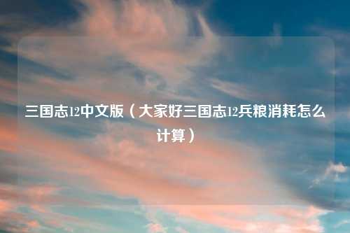 三国志12中文版（大家好三国志12兵粮消耗怎么计算）