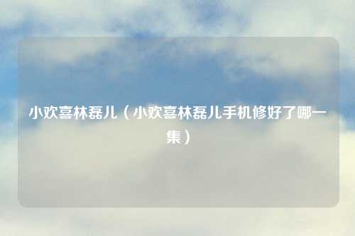 小欢喜林磊儿（小欢喜林磊儿手机修好了哪一集）