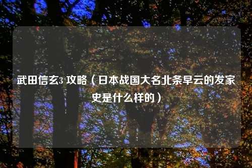 武田信玄3 攻略（日本战国大名北条早云的发家史是什么样的）
