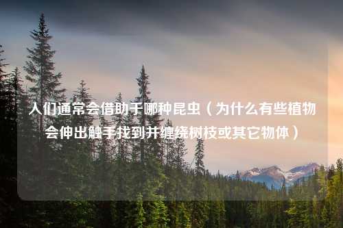 人们通常会借助于哪种昆虫（为什么有些植物会伸出触手找到并缠绕树枝或其它物体）
