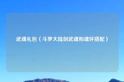 武魂礼包（斗罗大陆剑武魂和魂环搭配）