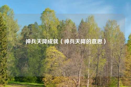 神兵天降成就（神兵天降的意思）