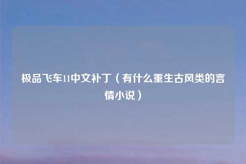 极品飞车11中文补丁（有什么重生古风类的言情小说）