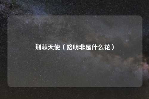 荆棘天使（路明非是什么花）