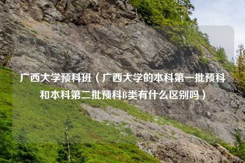 广西大学预科班（广西大学的本科第一批预科和本科第二批预科B类有什么区别吗）
