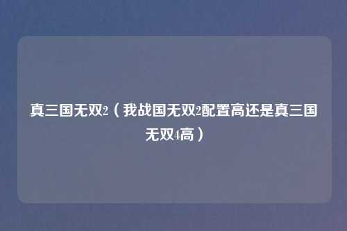 真三国无双2（我战国无双2配置高还是真三国无双4高）