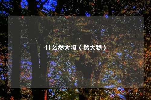 什么然大物（然大物）