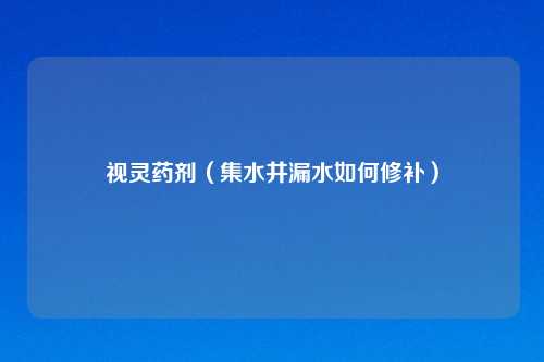 视灵药剂（集水井漏水如何修补）