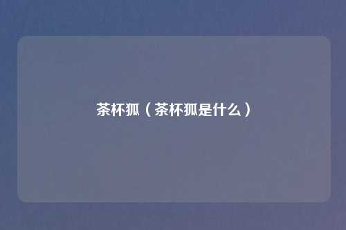 茶杯狐（茶杯狐是什么）