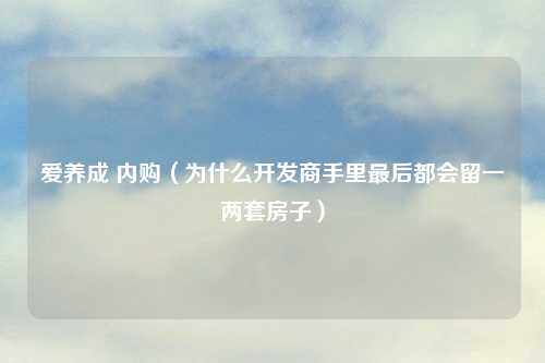 爱养成 内购（为什么开发商手里最后都会留一两套房子）