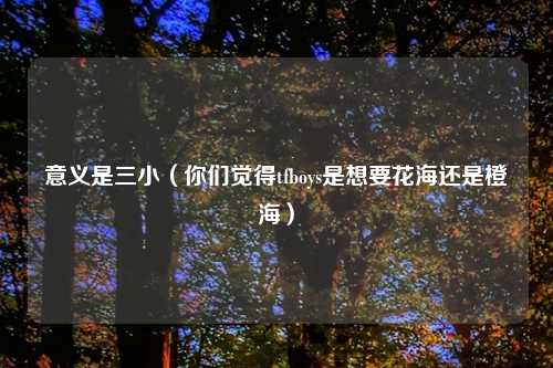意义是三小（你们觉得tfboys是想要花海还是橙海）