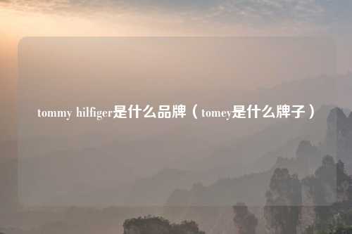 tommy hilfiger是什么品牌（tomey是什么牌子）