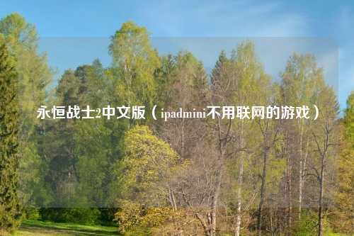 永恒战士2中文版（ipadmini不用联网的游戏）