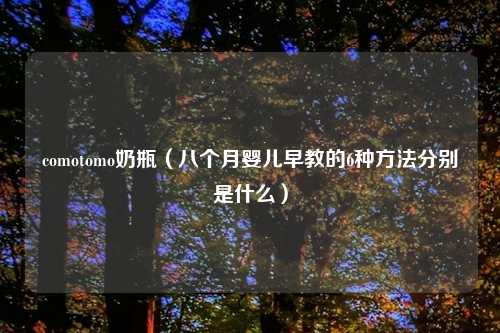 comotomo奶瓶（八个月婴儿早教的6种方法分别是什么）