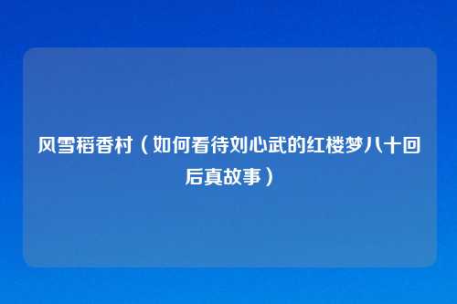 风雪稻香村（如何看待刘心武的红楼梦八十回后真故事）