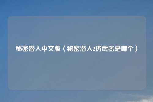 秘密潜入中文版（秘密潜入2扔武器是哪个）