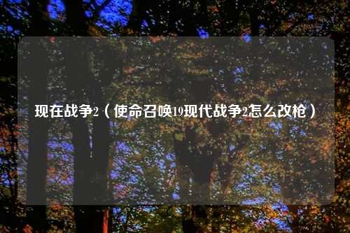 现在战争2（使命召唤19现代战争2怎么改枪）