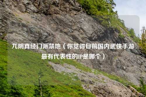 九阴真经门派禁地（你觉得目前国内武侠手游最有代表性的IP是哪个）
