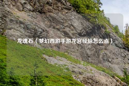 龙魂石（梦幻西游手游龙宫经脉怎么点）