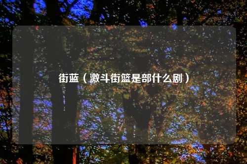 街蓝（激斗街篮是部什么剧）