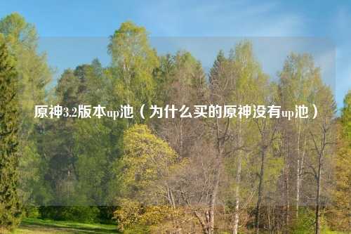 原神3.2版本up池（为什么买的原神没有up池）