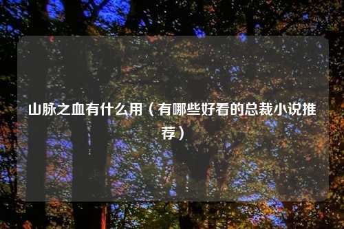 山脉之血有什么用（有哪些好看的总裁小说推荐）