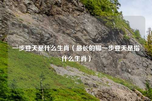 一步登天是什么生肖（最长的脚一步登天是指什么生肖）