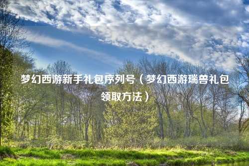 梦幻西游新手礼包序列号（梦幻西游瑞兽礼包领取方法）